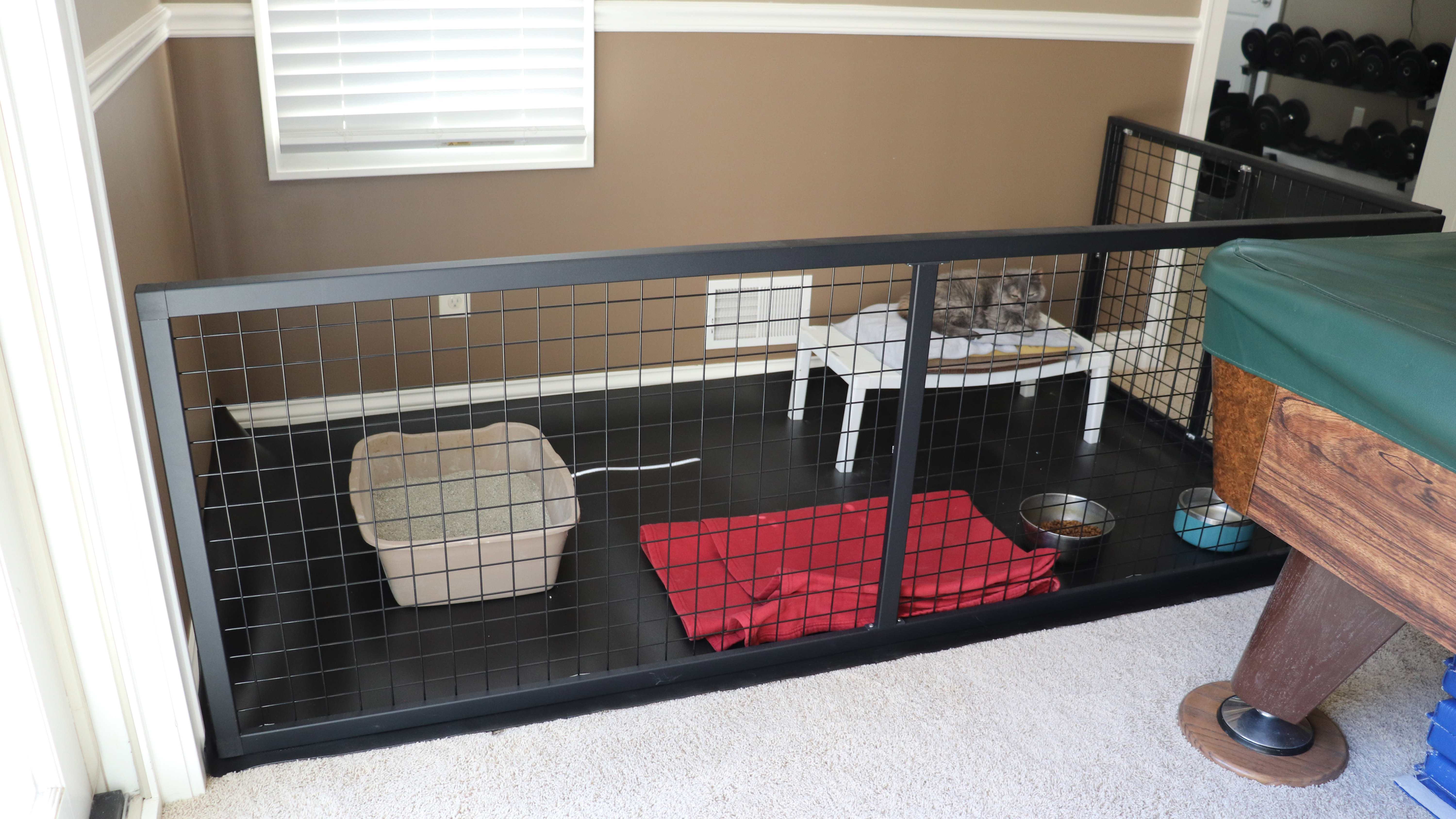 Pet Enclosure 4