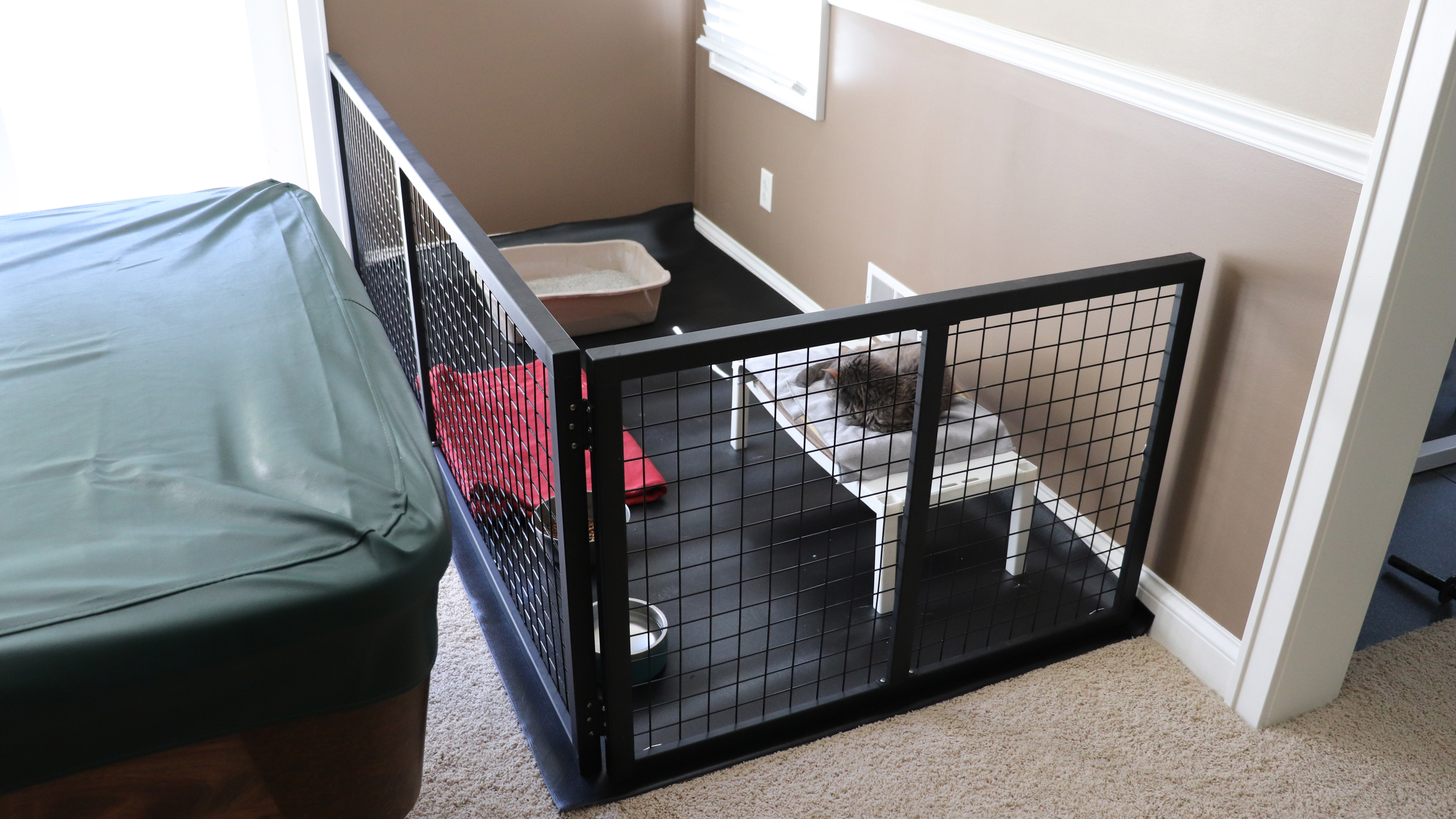 Pet Enclosure 5