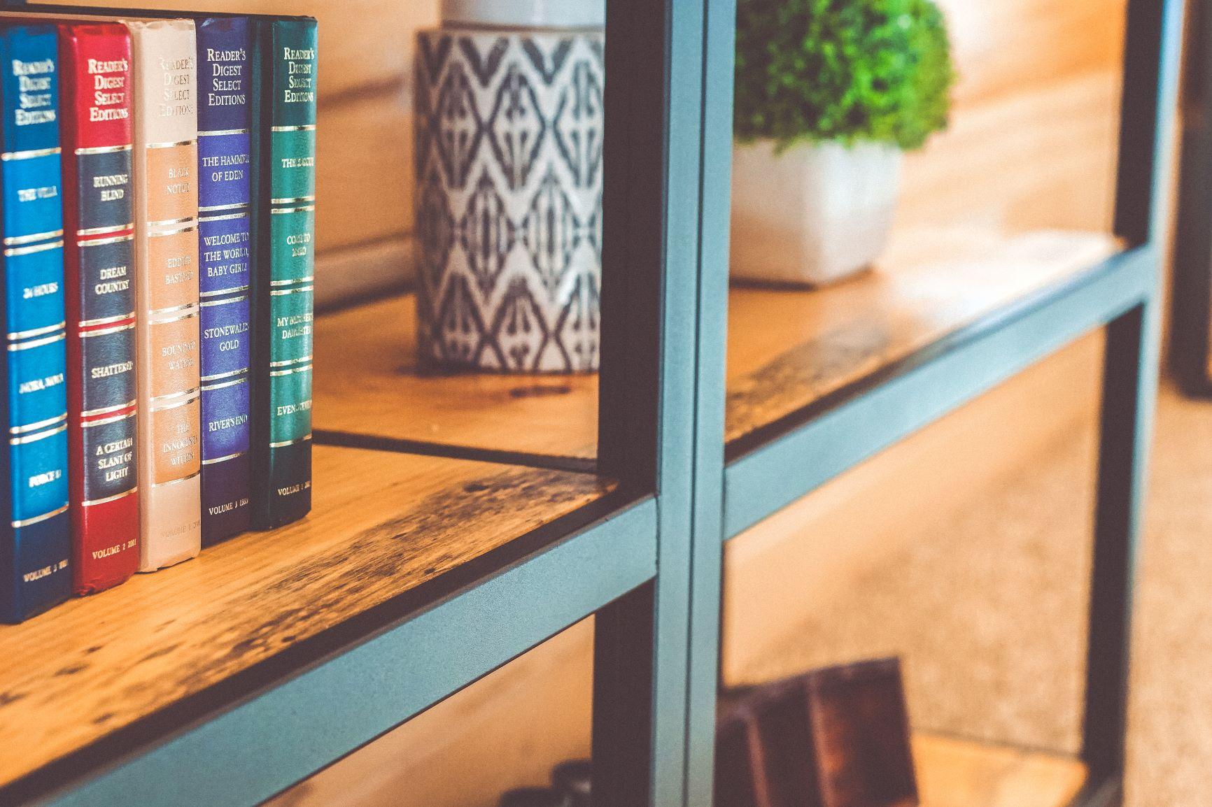 Rustic Shelf - Aluminum frame 2